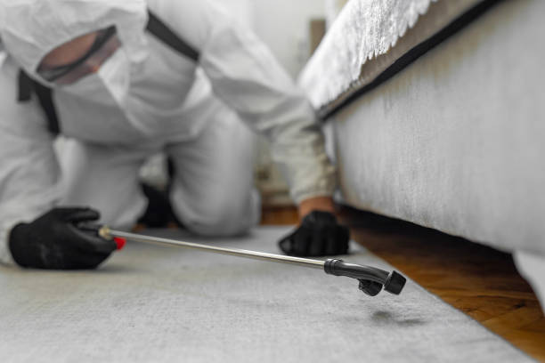 Professional Bed Bug Control technician working in Thomas County County, KS